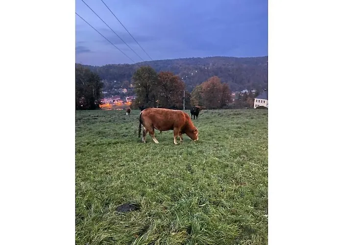 1-bedroom * Naundorf (Struppen, Sachsische Schweiz-Osterzgebirge)